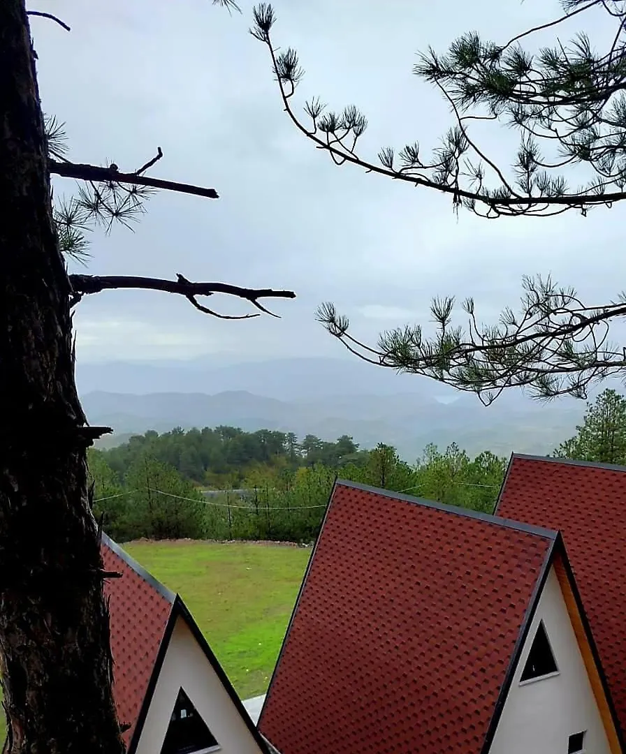 Prázdninový dům Vila Alpine Arlon Gjinar