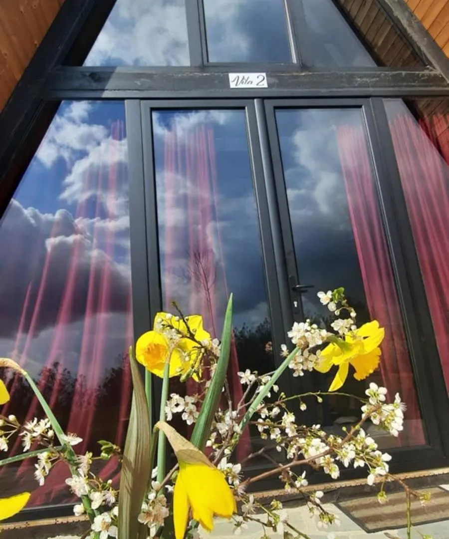 Vila Alpine Arlon Gjinar